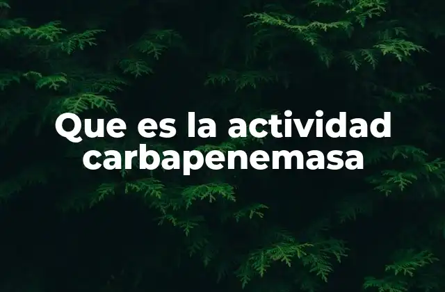 Que es la Actividad Carbapenemasa