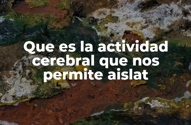 Que es la Actividad Cerebral que Nos Permite Aislat