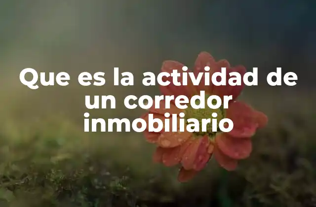 Que es la Actividad de un Corredor Inmobiliario