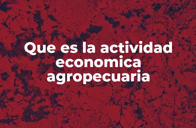 Importancia de la actividad económica agropecuaria en el desarrollo económico