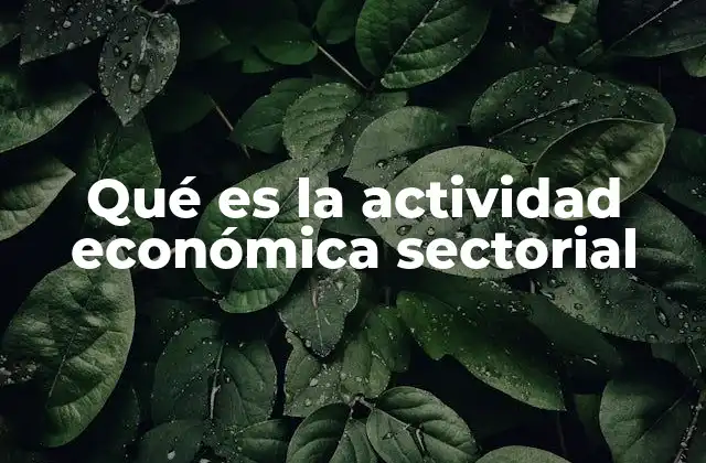 Qué es la Actividad Económica Sectorial