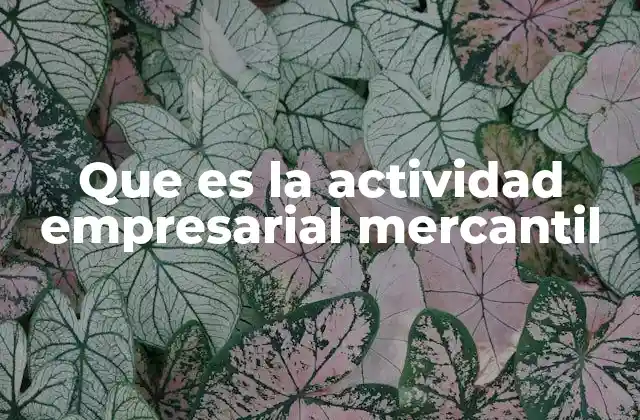 El papel de la actividad empresarial en la economía