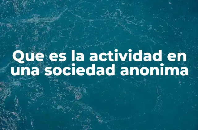 Que es la Actividad en una Sociedad Anonima