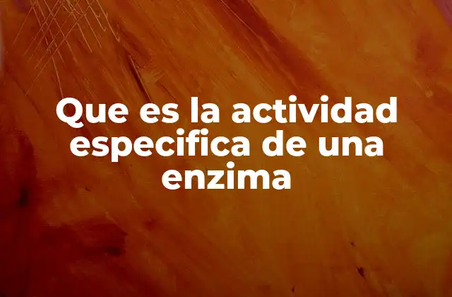La relación entre la actividad de la enzima y su función biológica
