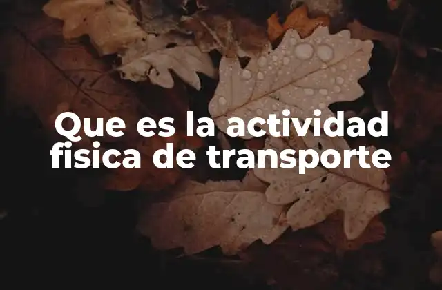 Que es la Actividad Fisica de Transporte 2 La importancia del movimiento corporal en el día a día