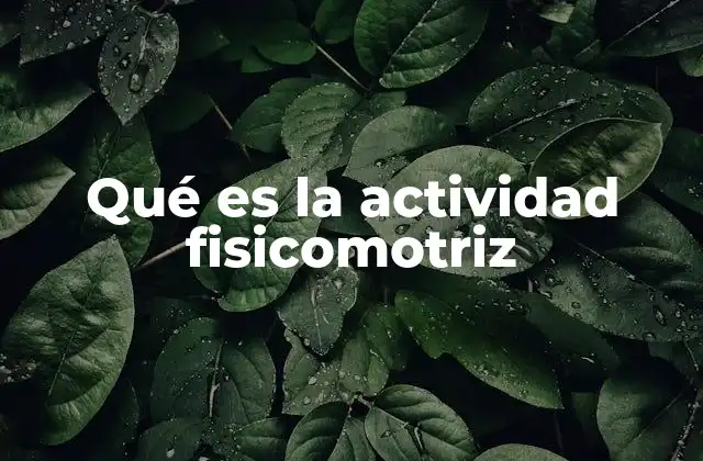 Qué es la Actividad Fisicomotriz