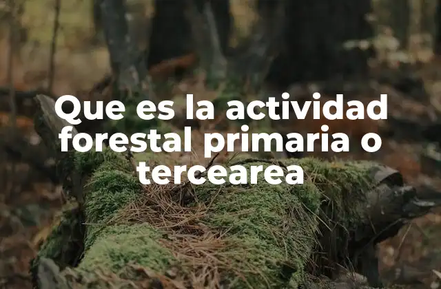 Que es la Actividad Forestal Primaria o Tercearea
