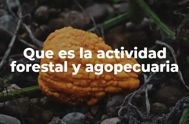 Que es la Actividad Forestal y Agopecuaria