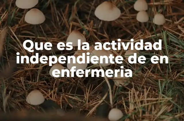 Que es la Actividad Independiente de en Enfermeria 2 El rol profesional de los enfermeros en el sistema sanitario