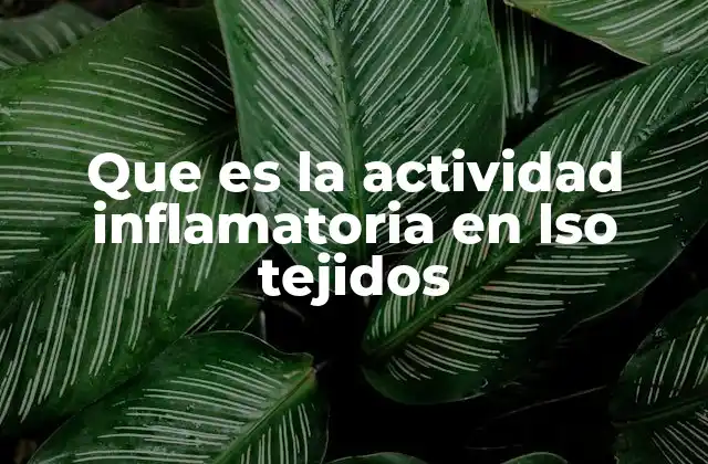 Que es la Actividad Inflamatoria en Lso Tejidos