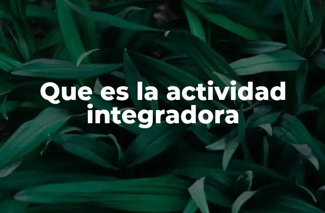Que es la Actividad Integradora