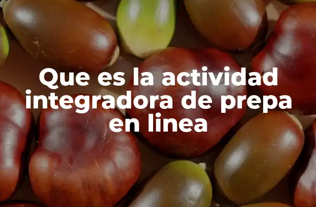 El papel de la actividad integradora en el aprendizaje virtual