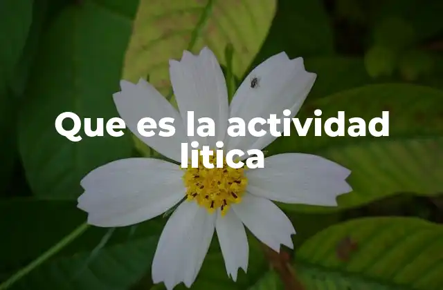 Que es la Actividad Litica