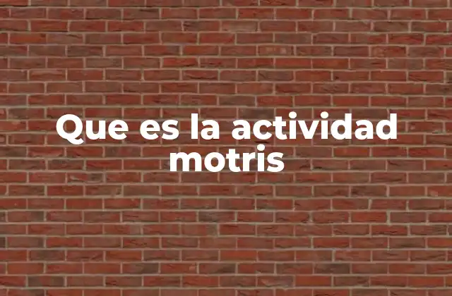 Que es la Actividad Motris
