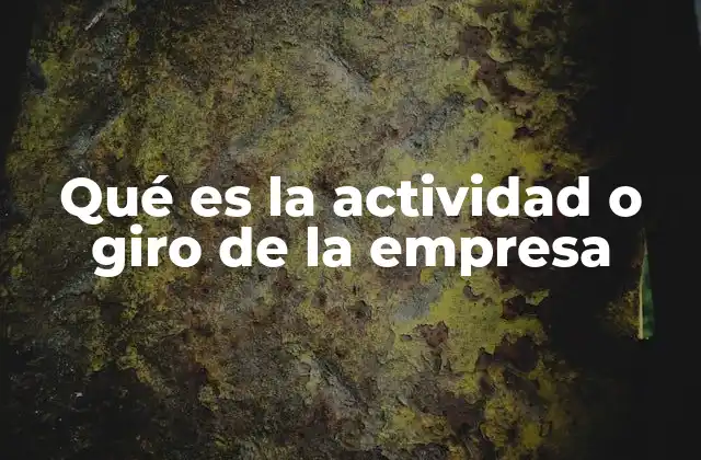 Qué es la Actividad o Giro de la Empresa