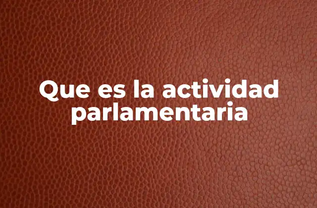 Que es la Actividad Parlamentaria