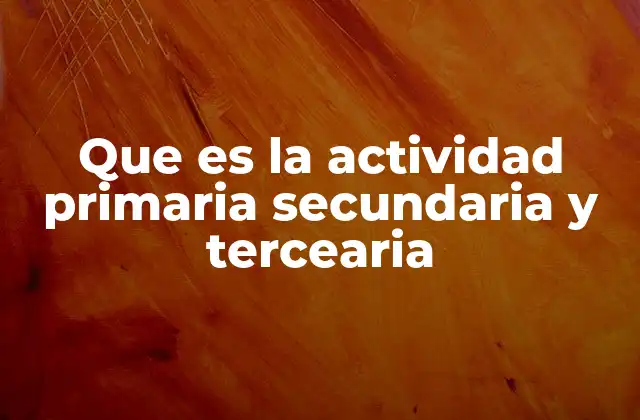 Que es la Actividad Primaria Secundaria y Tercearia