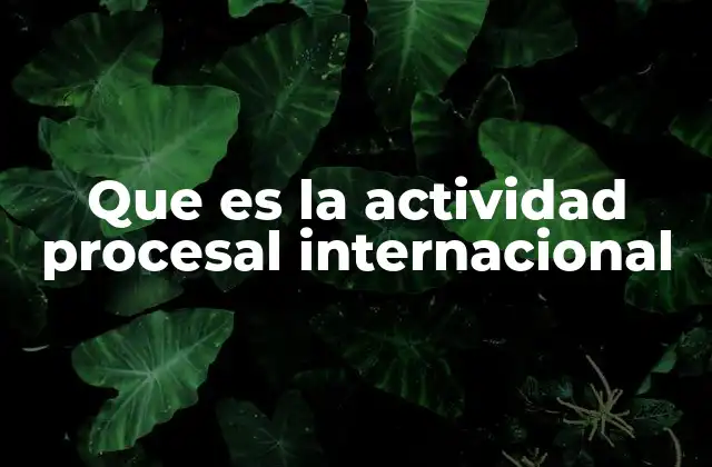 Que es la Actividad Procesal Internacional