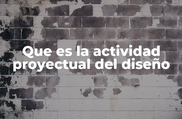 Que es la Actividad Proyectual Del Diseño