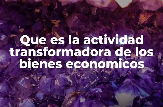 Que es la Actividad Transformadora de los Bienes Economicos