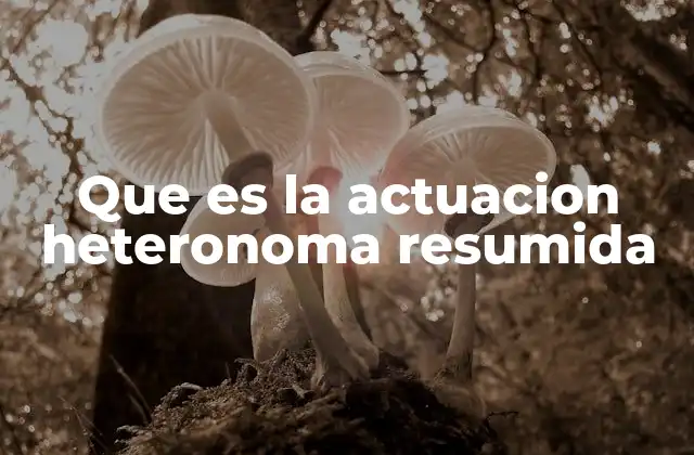 Que es la Actuacion Heteronoma Resumida