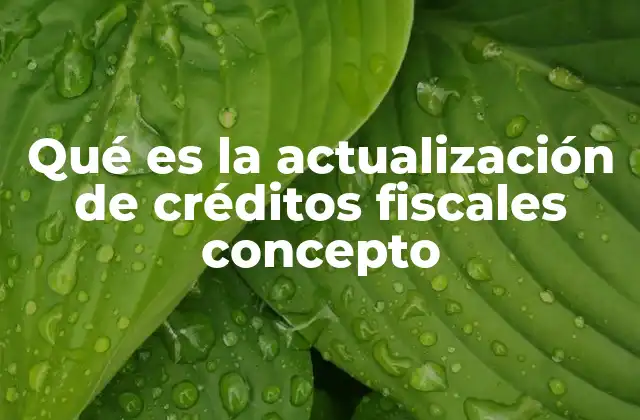 Qué es la Actualización de Créditos Fiscales Concepto