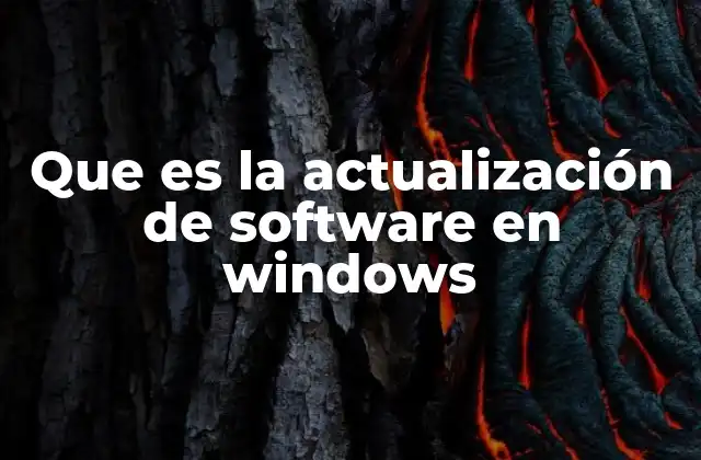Que es la Actualización de Software en Windows