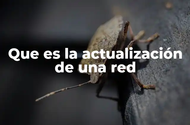 Que es la Actualización de una Red