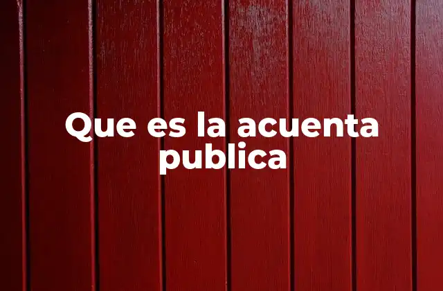 Que es la Acuenta Publica