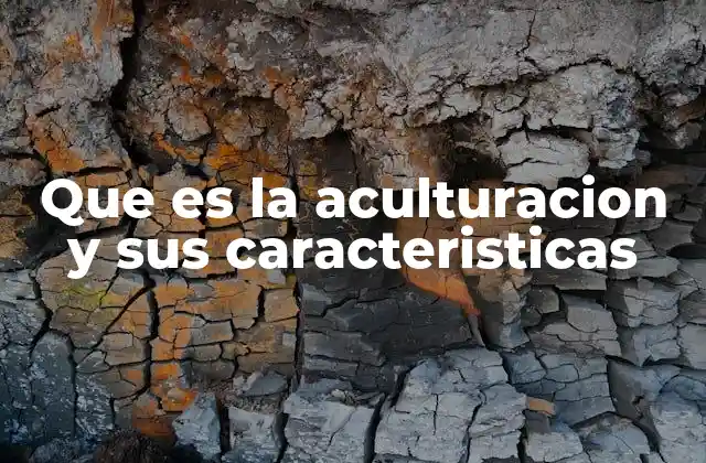 El impacto psicológico y social de la aculturación