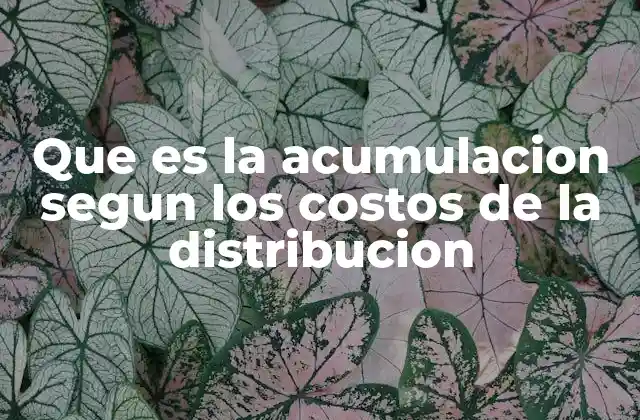 Que es la Acumulacion Segun los Costos de la Distribucion