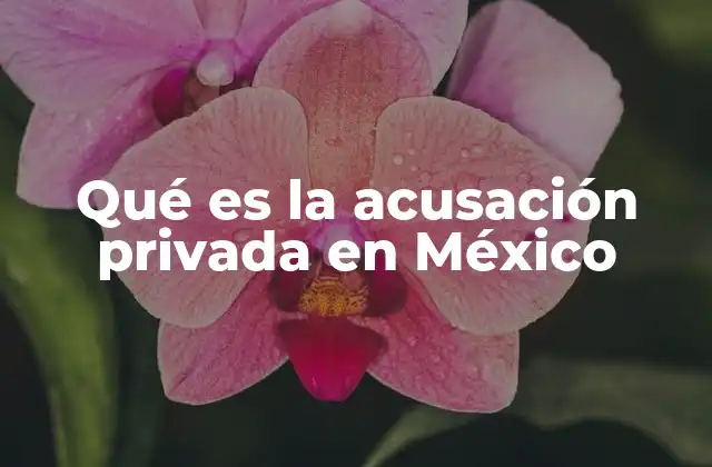 Qué es la Acusación Privada en México