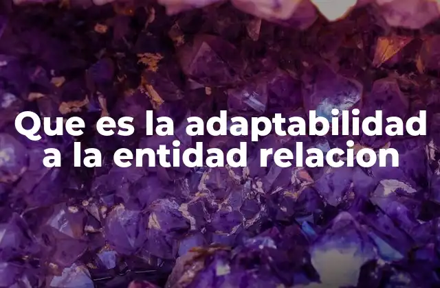 Que es la Adaptabilidad a la Entidad Relacion