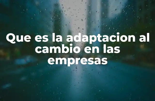 Que es la Adaptacion Al Cambio en las Empresas