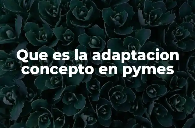 Que es la Adaptacion Concepto en Pymes