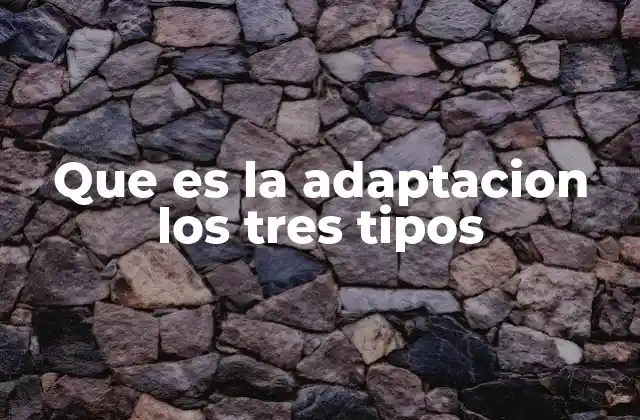Que es la Adaptacion los Tres Tipos