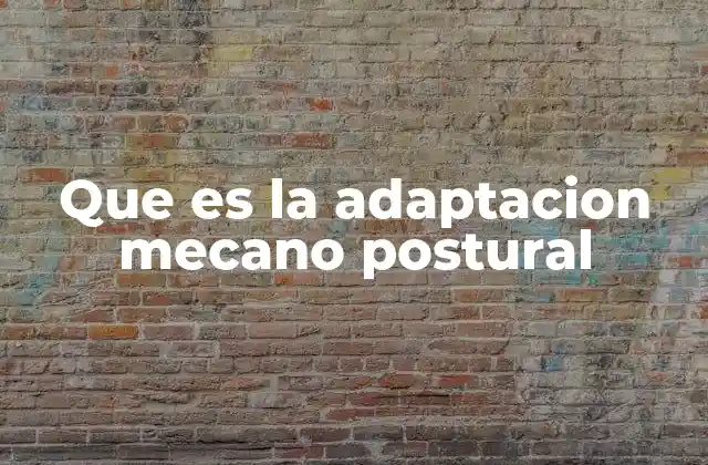 Que es la Adaptacion Mecano Postural 2 Cómo el cuerpo humano mantiene el equilibrio sin necesidad de pensar en ello