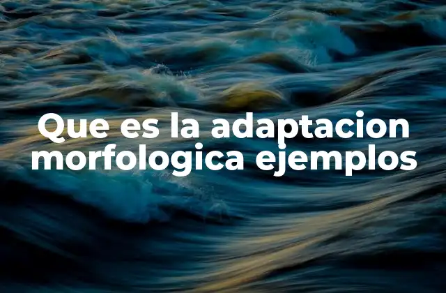 Que es la Adaptacion Morfologica Ejemplos
