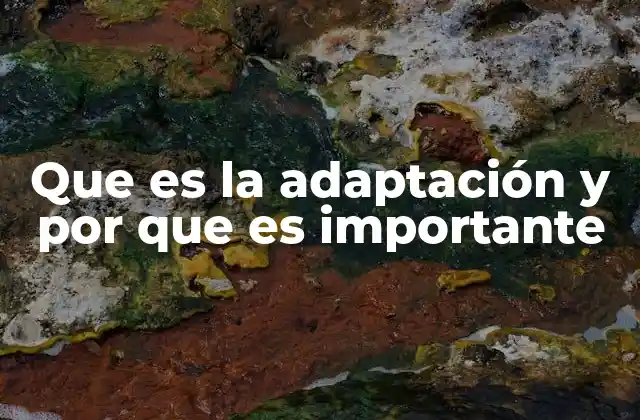 Que es la Adaptación y por que es Importante