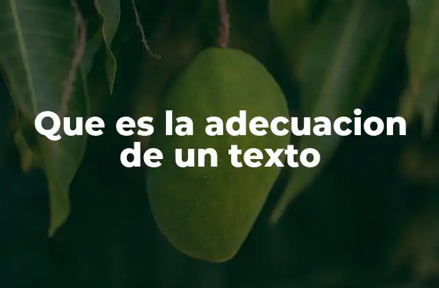 Que es la Adecuacion de un Texto