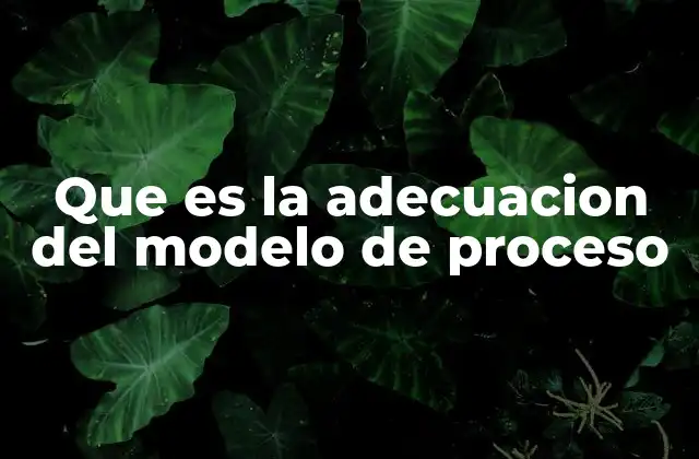 Que es la Adecuacion Del Modelo de Proceso