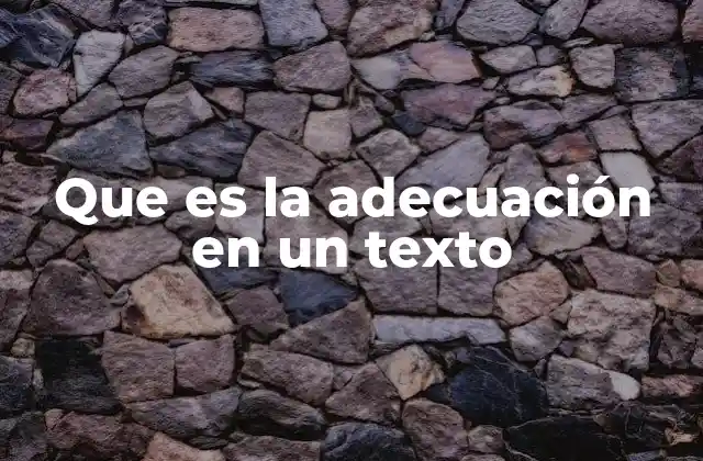 Que es la Adecuación en un Texto