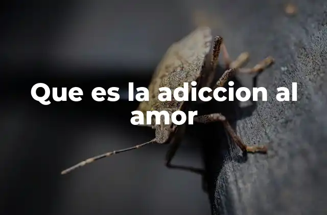 Que es la Adiccion Al Amor
