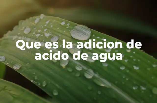 Que es la Adicion de Acido de Agua