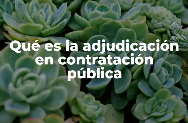 Qué es la Adjudicación en Contratación Pública