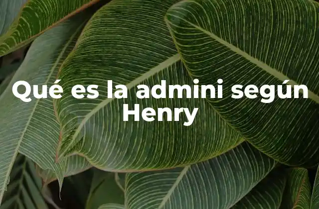 Qué es la Admini según Henry