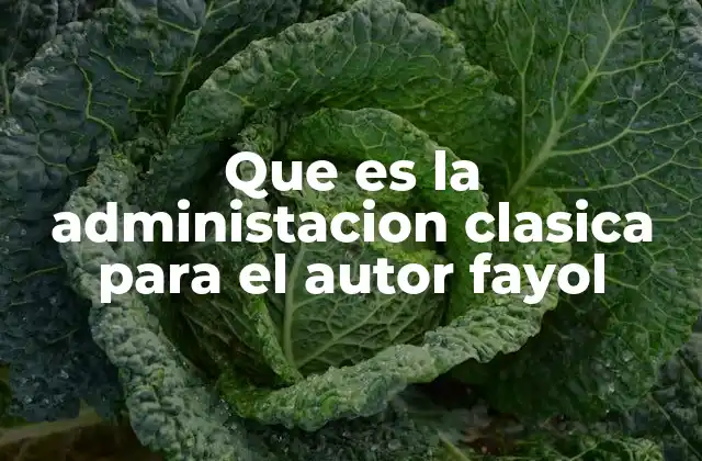 Que es la Administacion Clasica para el Autor Fayol