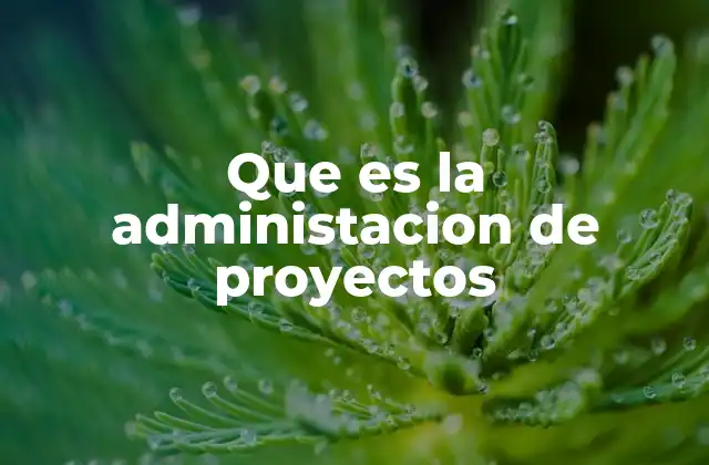 Que es la Administacion de Proyectos