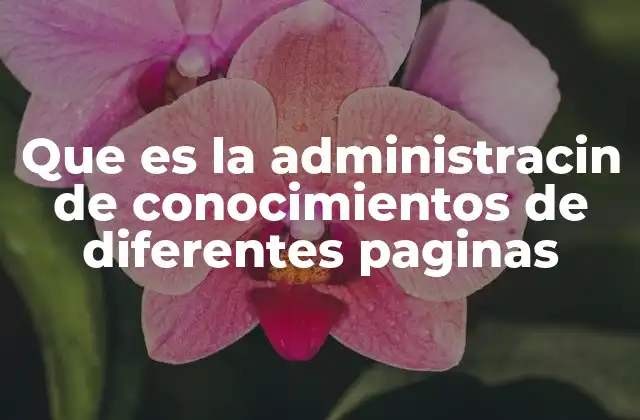 Que es la Administracin de Conocimientos de Diferentes Paginas