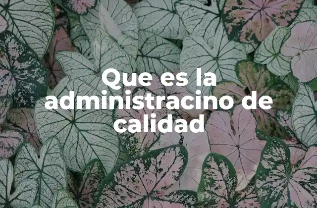 Que es la Administracino de Calidad